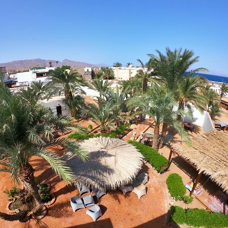 Miramar Camp Dahab Hotell Eksteriør bilde