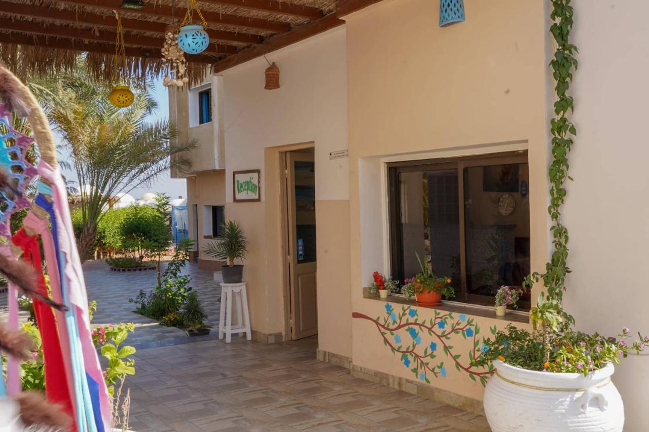 Miramar Camp Dahab Hotell Eksteriør bilde