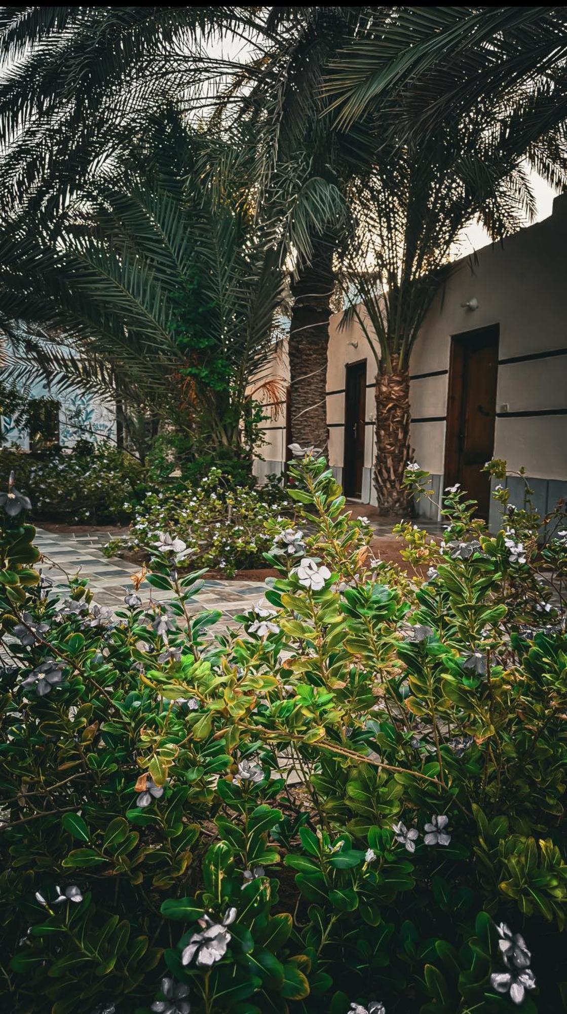 Miramar Camp Dahab Hotell Eksteriør bilde