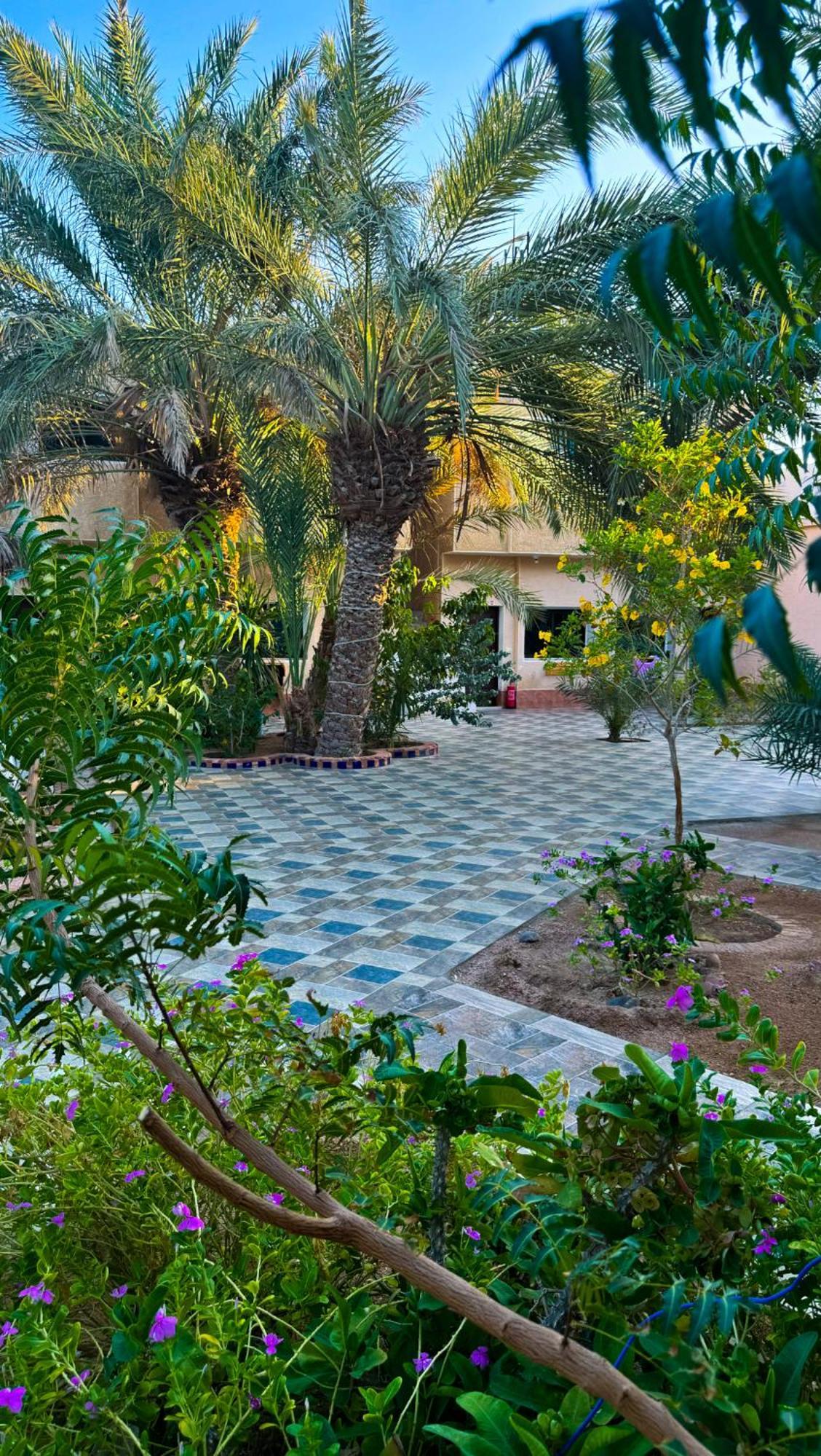 Miramar Camp Dahab Hotell Eksteriør bilde