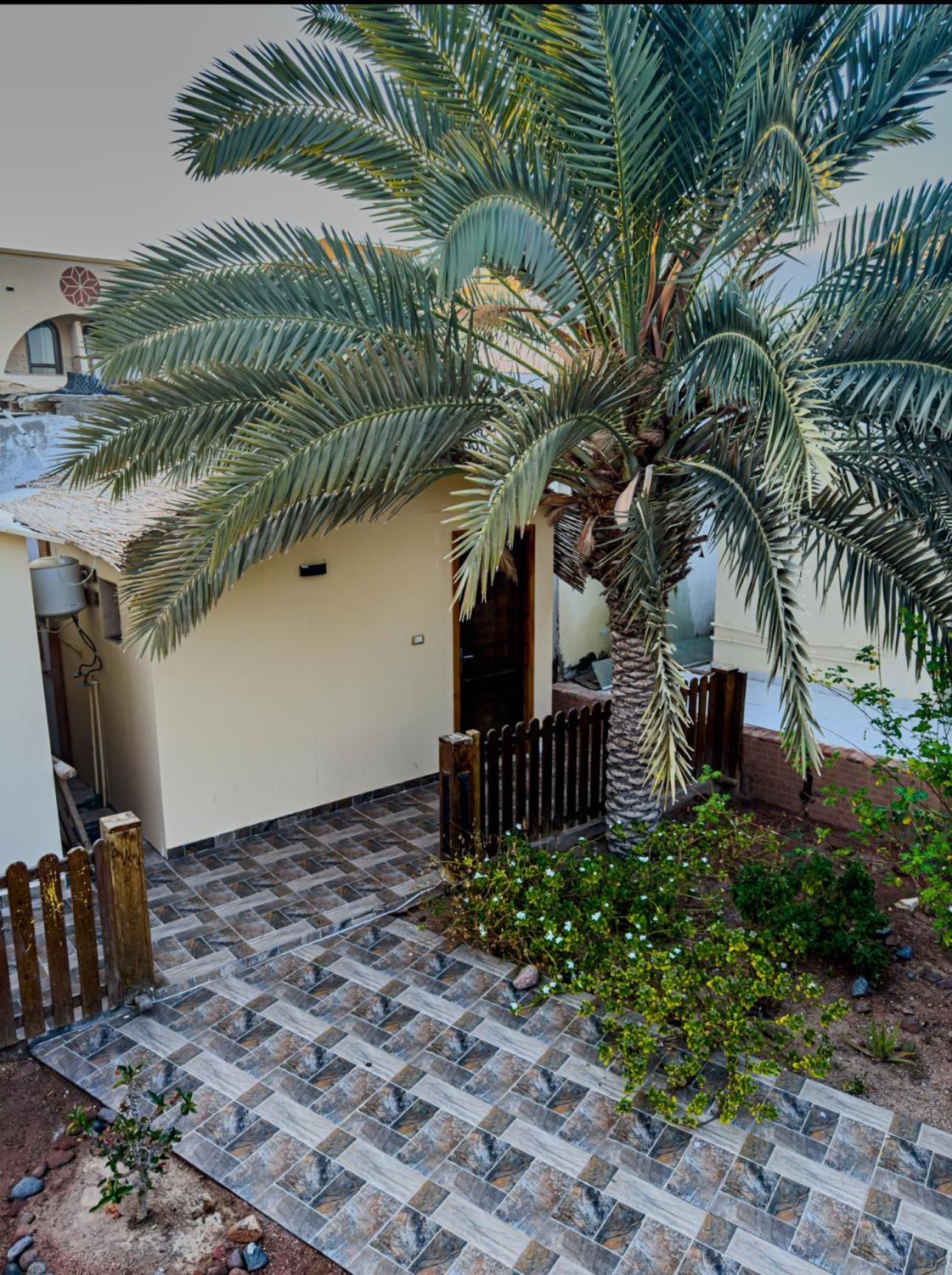 Miramar Camp Dahab Hotell Eksteriør bilde