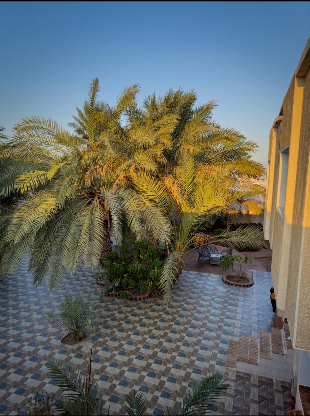 Miramar Camp Dahab Hotell Eksteriør bilde