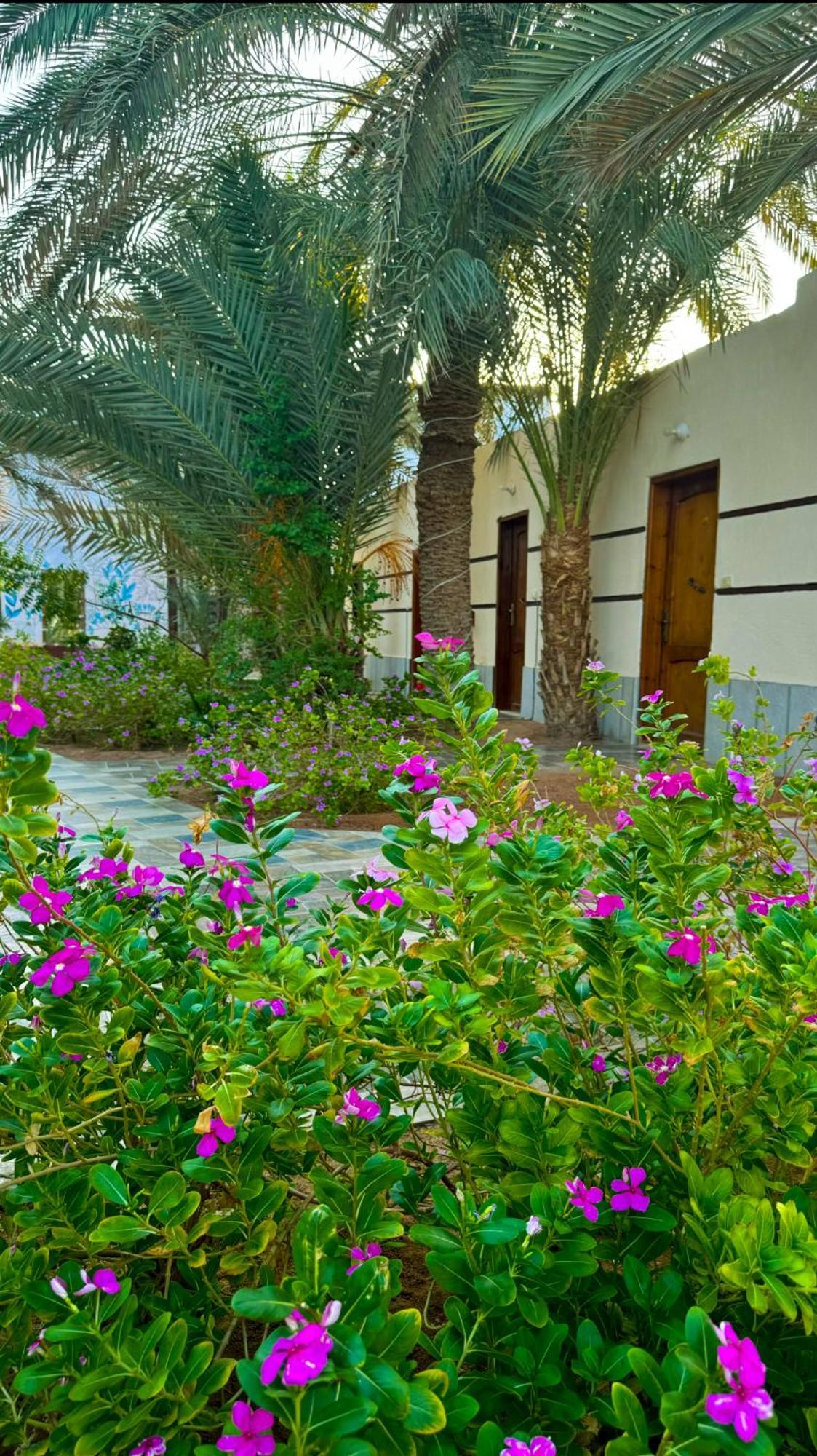 Miramar Camp Dahab Hotell Eksteriør bilde