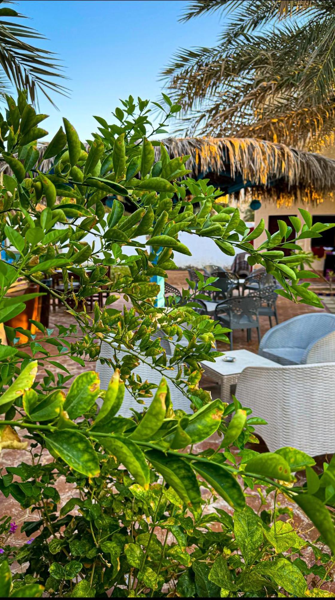 Miramar Camp Dahab Hotell Eksteriør bilde