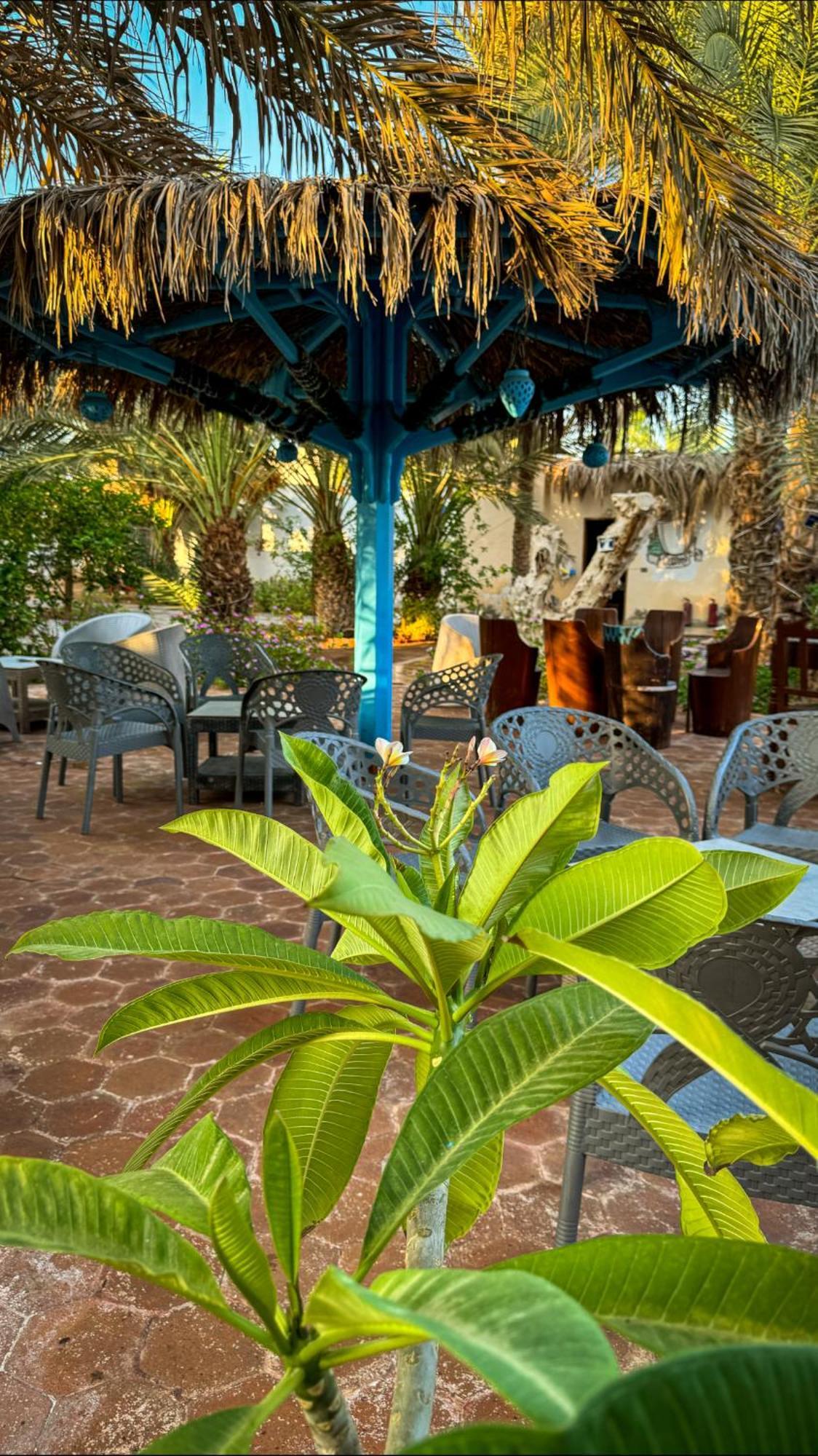 Miramar Camp Dahab Hotell Eksteriør bilde