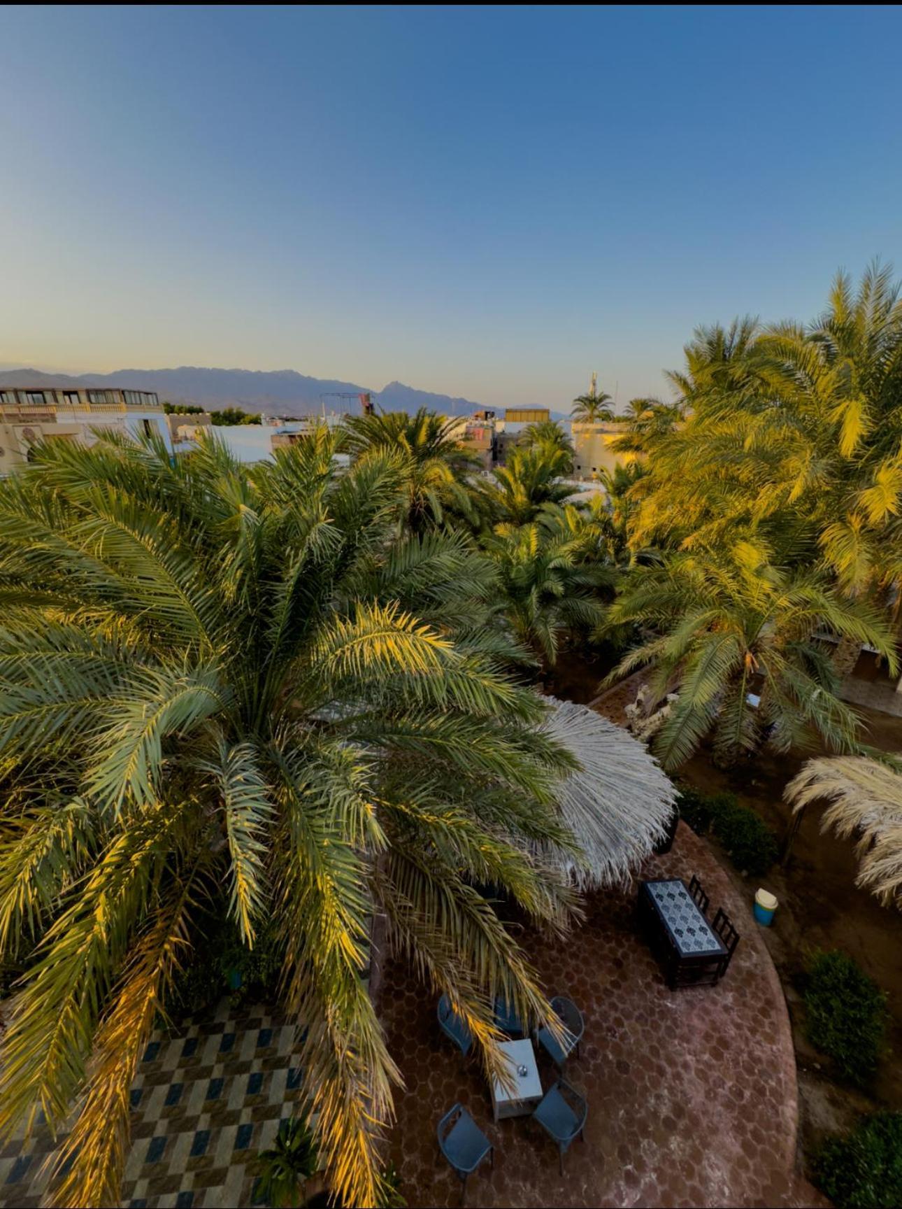 Miramar Camp Dahab Hotell Eksteriør bilde
