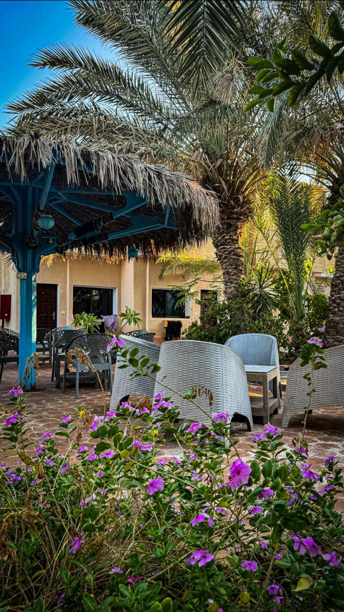 Miramar Camp Dahab Hotell Eksteriør bilde