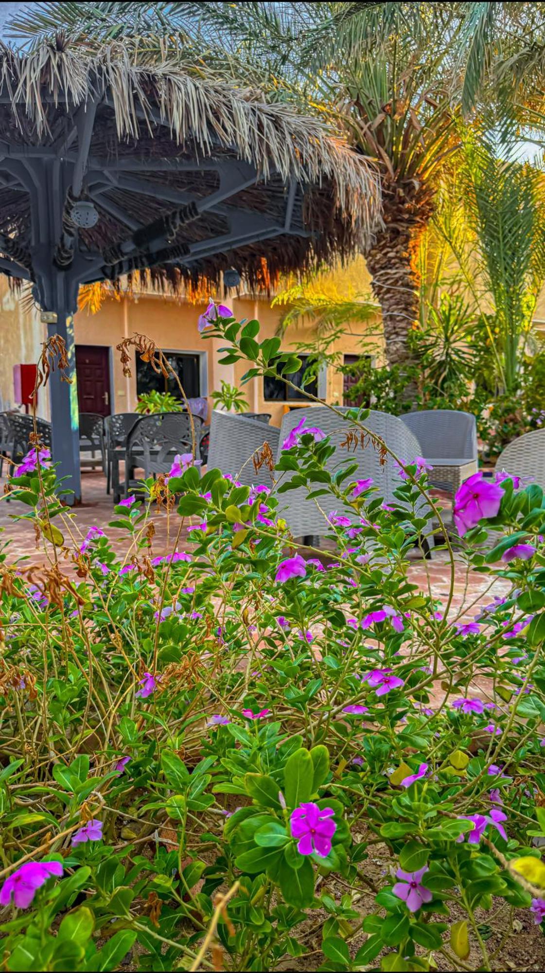 Miramar Camp Dahab Hotell Eksteriør bilde