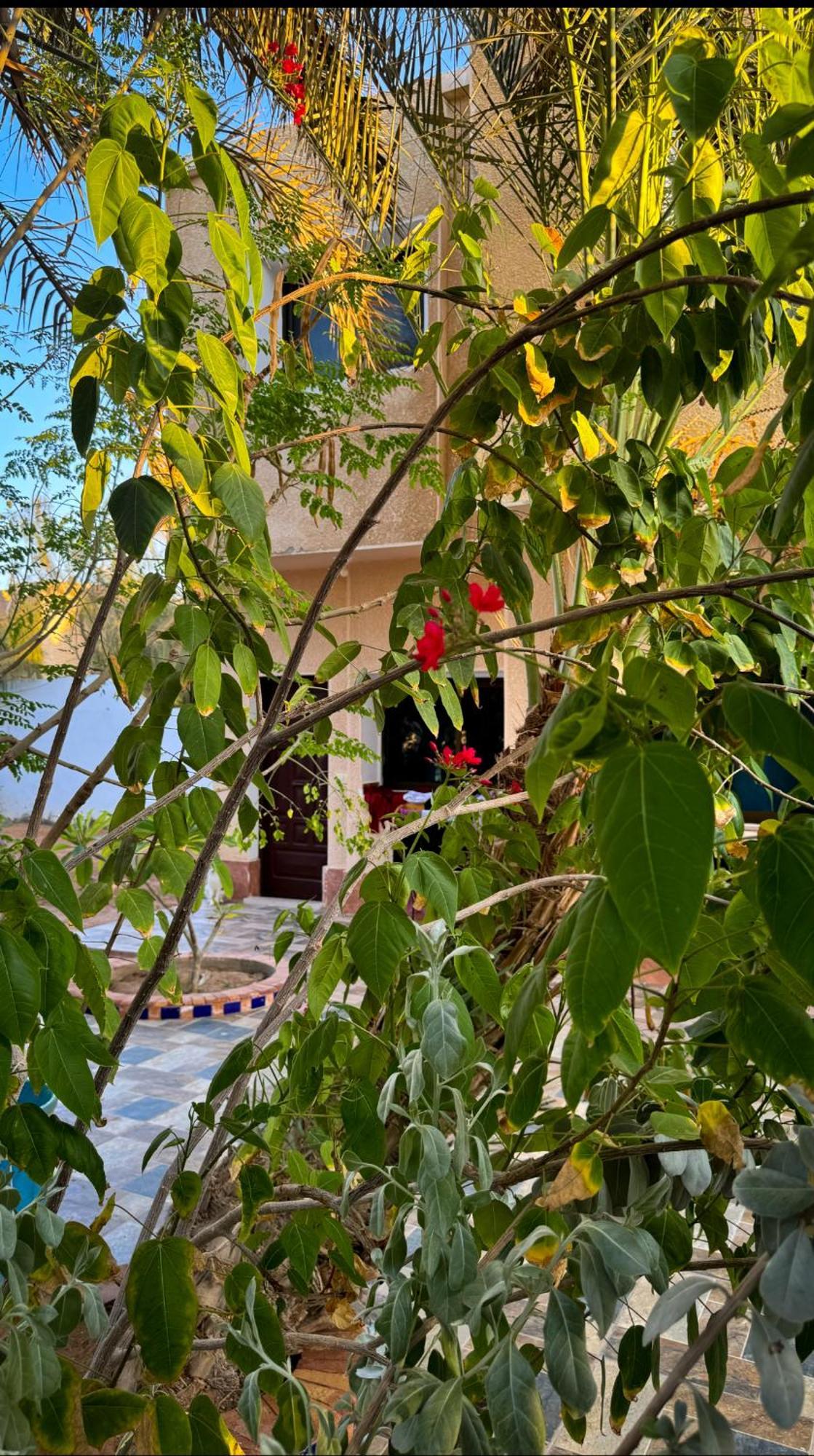 Miramar Camp Dahab Hotell Eksteriør bilde