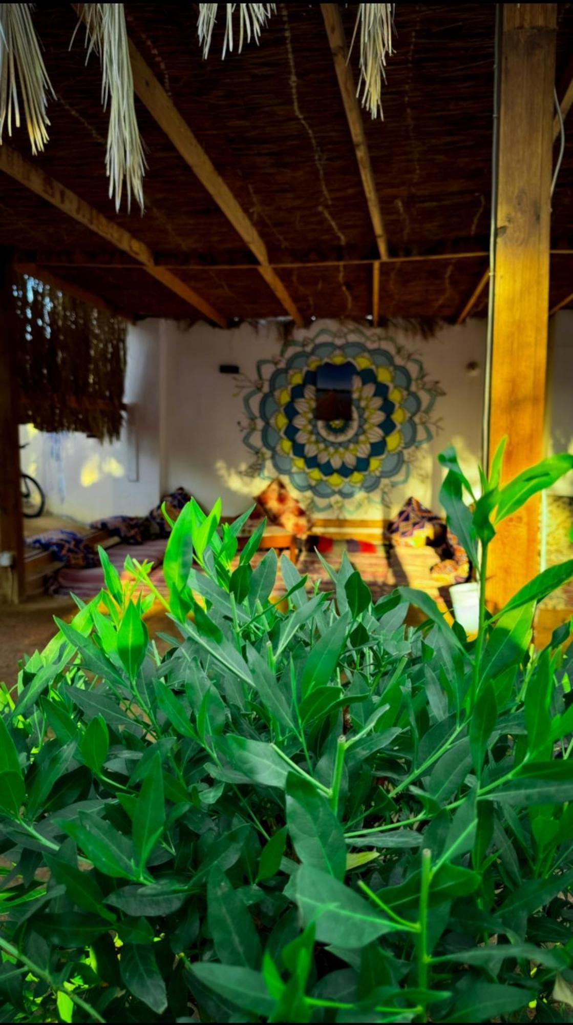 Miramar Camp Dahab Hotell Eksteriør bilde