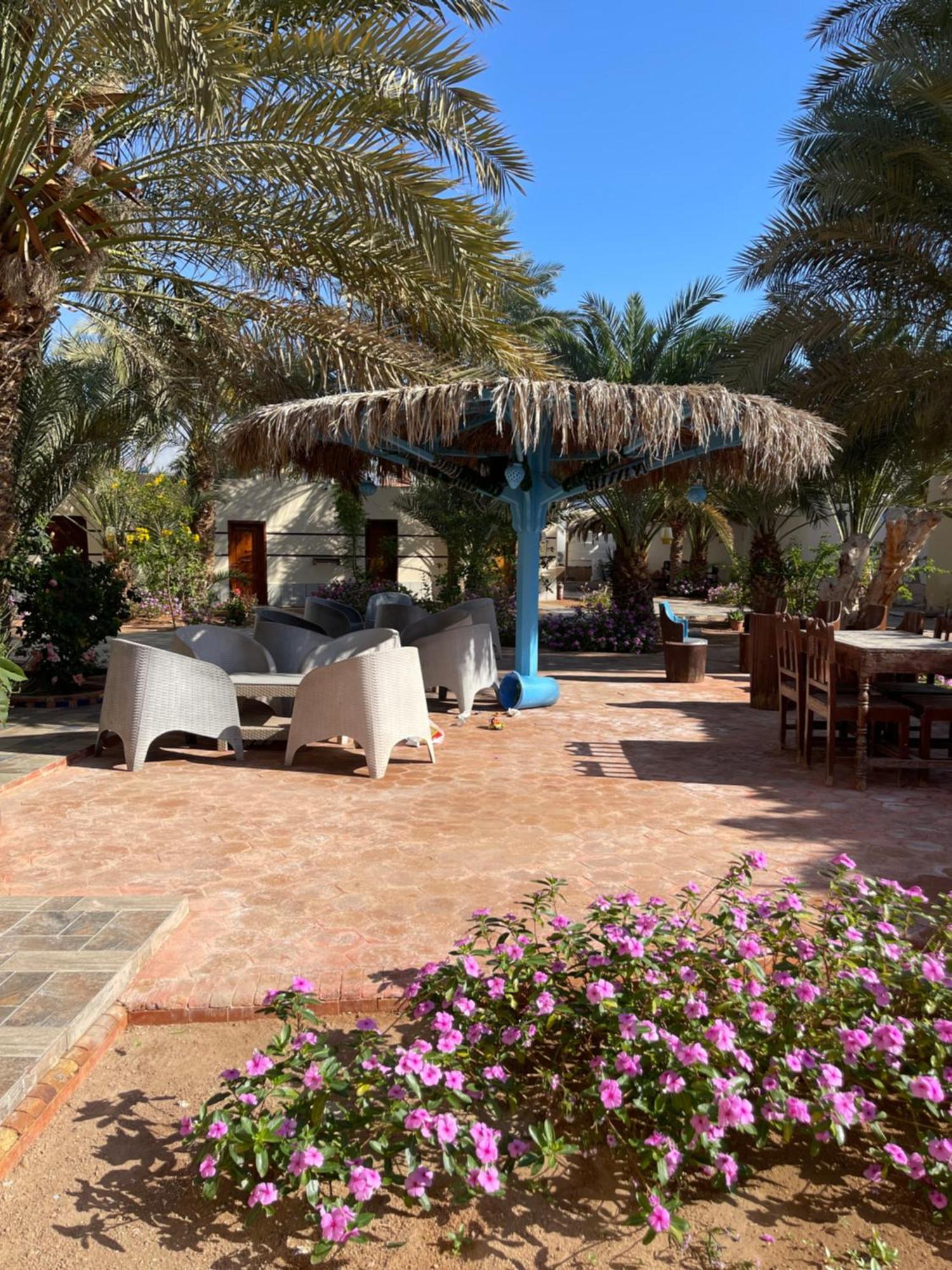 Miramar Camp Dahab Hotell Eksteriør bilde
