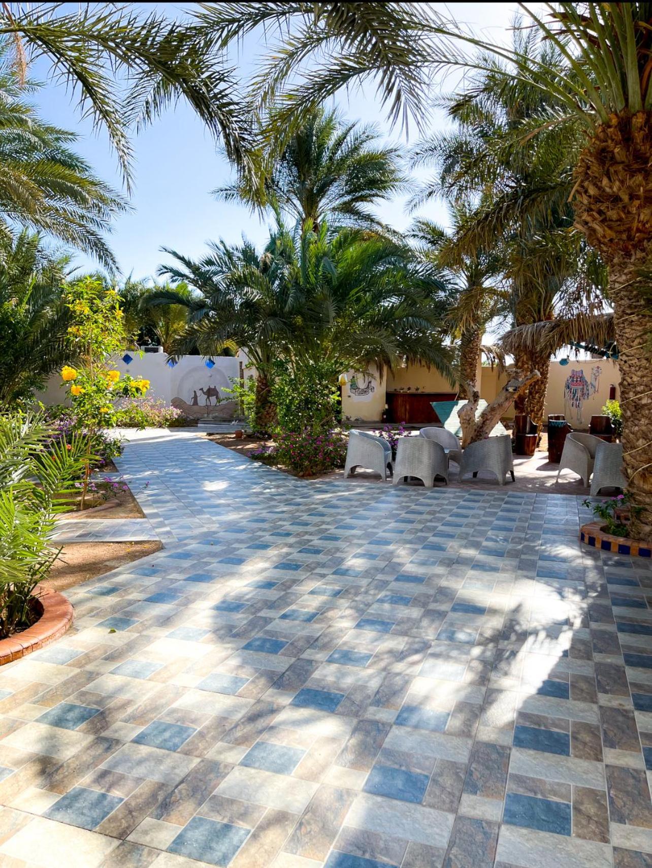 Miramar Camp Dahab Hotell Eksteriør bilde